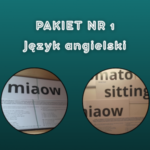 Karty do czytania J. Angielski Zestaw 1